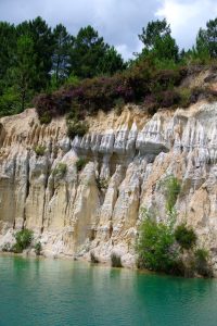 Le guêpier d’Europe a trouvé un berceau paradisiaque en Charente, à Guizengeard